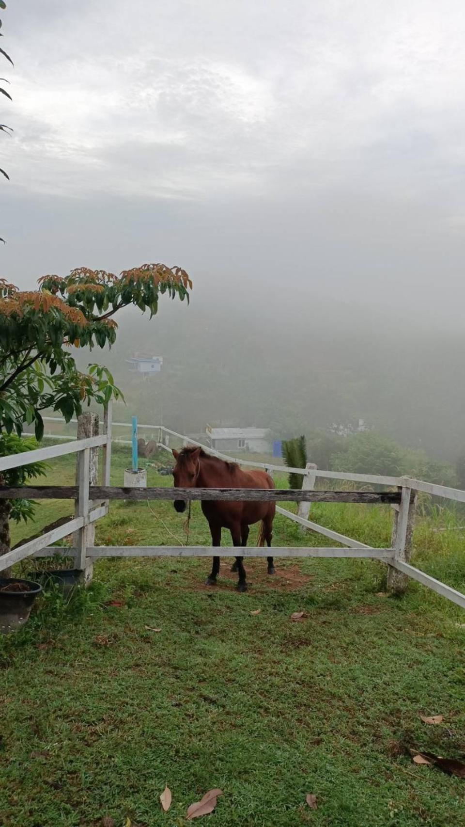 Phang Nga Viewpoint מראה חיצוני תמונה